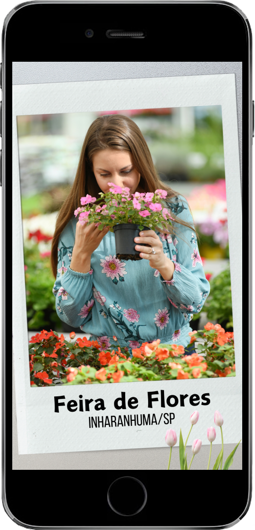 Filtro de Instagram para Feiras_001