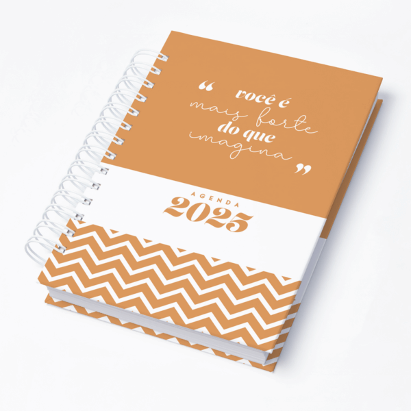 Capa 0001