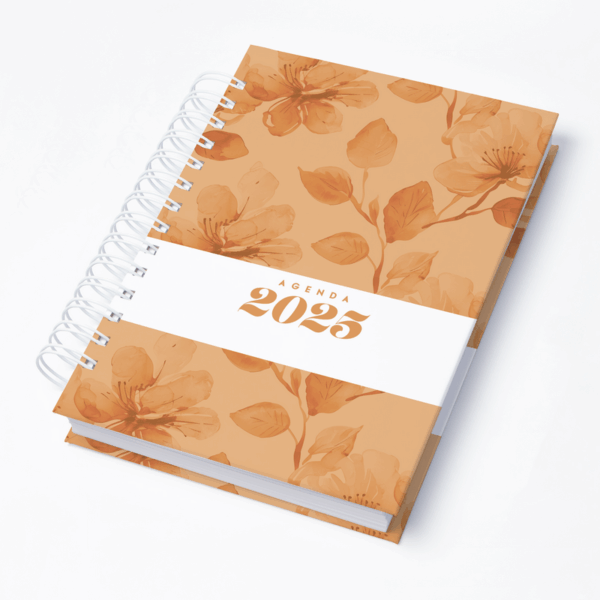 Capa 0013