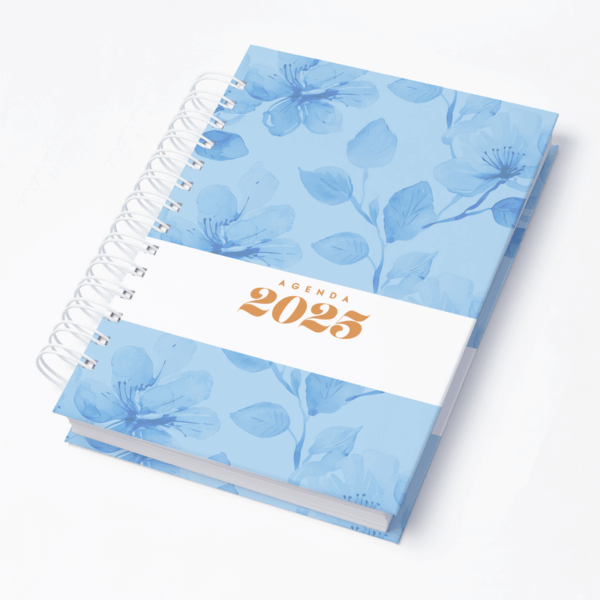 Capa 0015