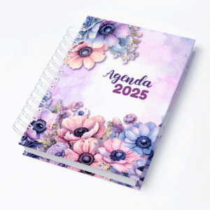 Capa 0095
