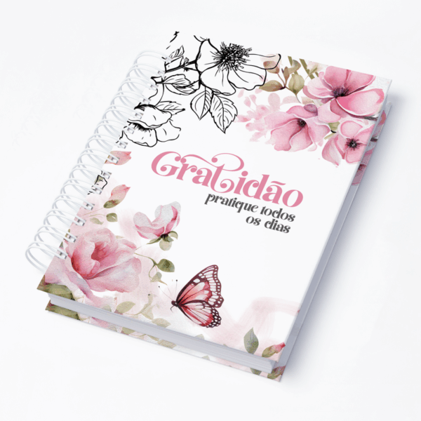 Capa 0097