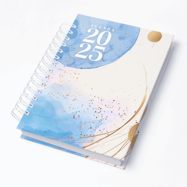 Capa 0219