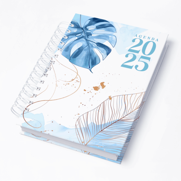 Capa 0268