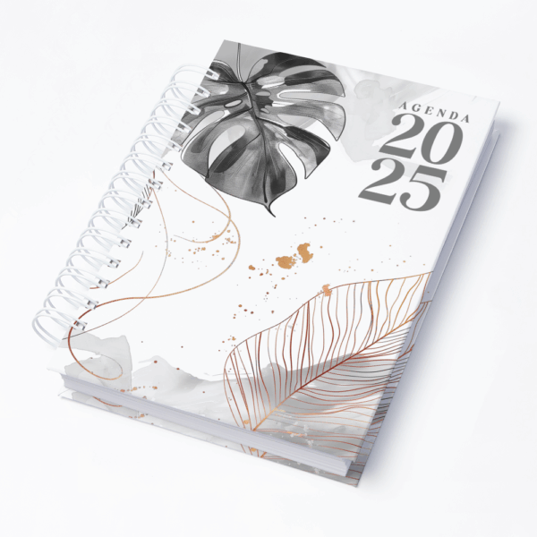 Capa 0271