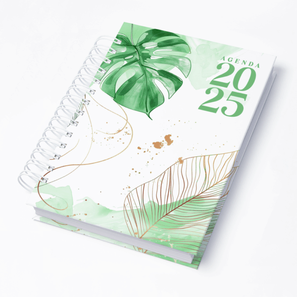 Capa 0274
