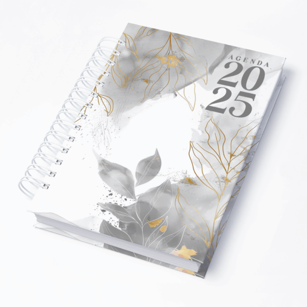 Capa 0285