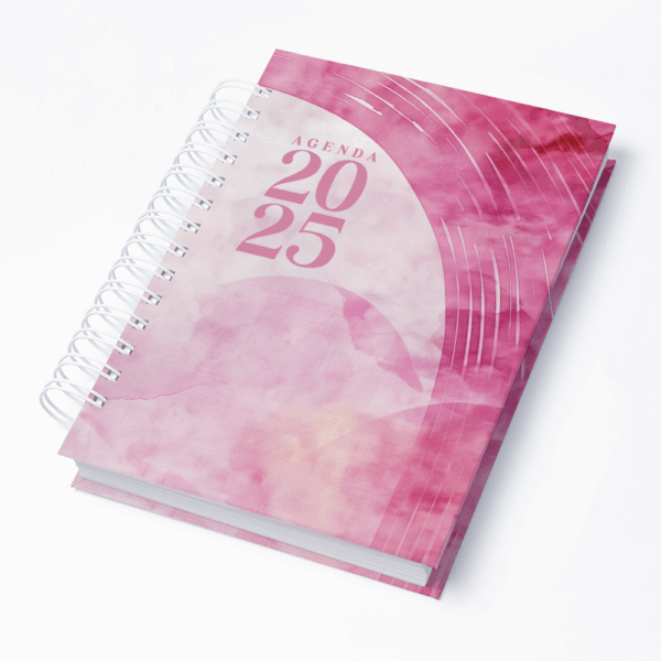 Capa 0293
