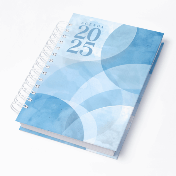 Capa 0296