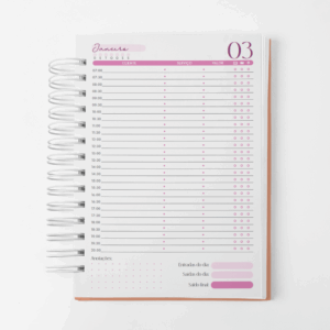 Agenda Agendamento de Serviço - Permanente - Pink