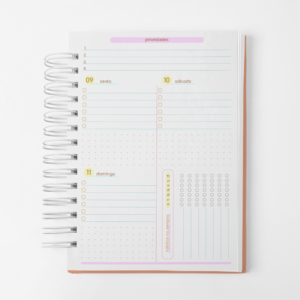 Planner Financeiro G19 - Datado - Horizontal Box