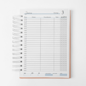 Agenda de Agendamento Cliente/Procedimento 2027 Vivi - Datada - 1 dia por página - Azul
